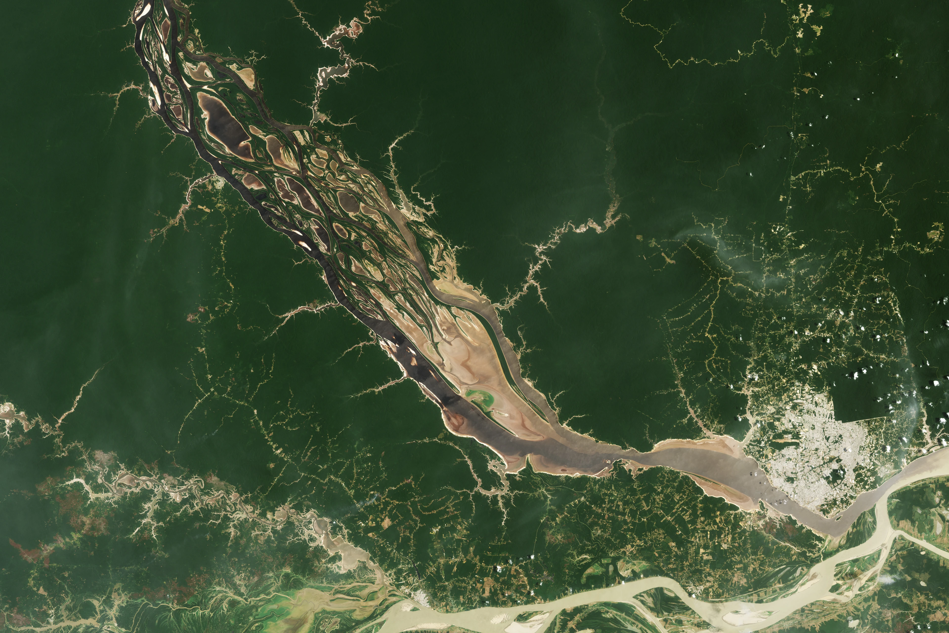 Satellite views of the Rio Negro near Manaus in October 2022 and October 2023, when drought exposed wide sandbanks along the river